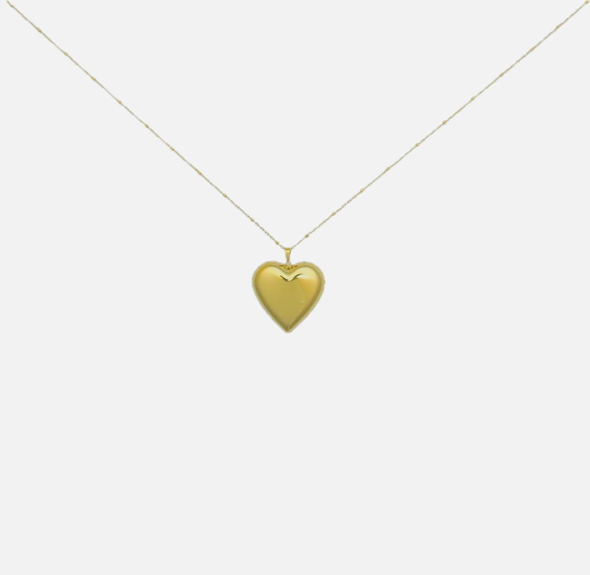 Women's Heart Pendant Necklace with Fine Chain